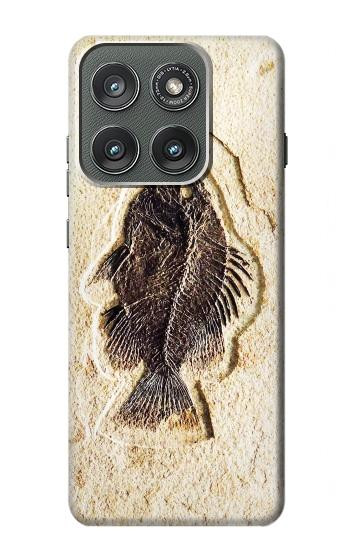 S2562 Fossil Fish Case For Motorola Edge (2025)