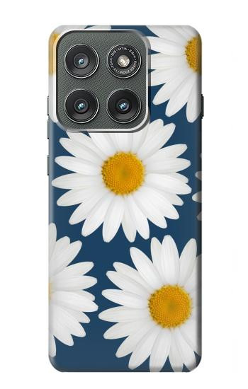 S3009 Daisy Blue Case For Motorola Edge (2025)