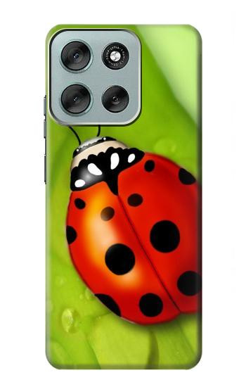 S0892 Ladybug Case For Motorola Moto G56