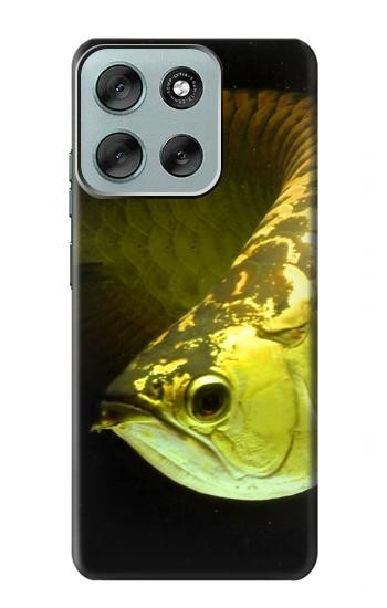 S1021 Gold Arowana Fish Case For Motorola Moto G56