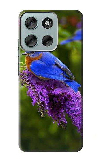 S1565 Bluebird of Happiness Blue Bird Case For Motorola Moto G56