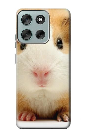 S1619 Cute Guinea Pig Case For Motorola Moto G56