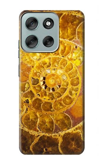 S1789 Ammonite Fossils Case For Motorola Moto G56
