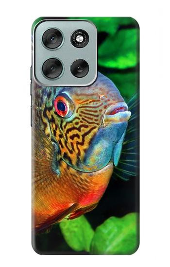 S1812 Cichlid Fish Case For Motorola Moto G56