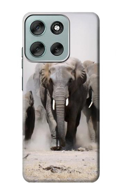 S3142 African Elephant Case For Motorola Moto G56