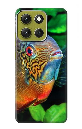 S1812 Cichlid Fish Case For Motorola Moto G86