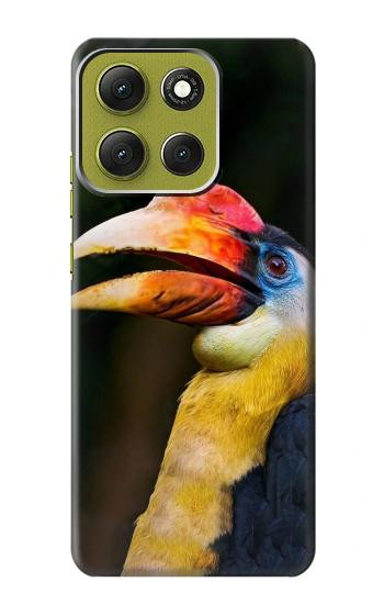 S3876 Colorful Hornbill Case For Motorola Moto G86