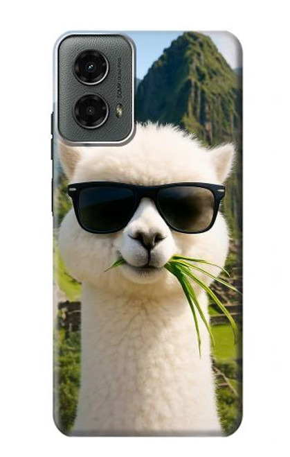 S4069 Alpaca Sunglasses Case For Motorola Moto G 5G (2024)