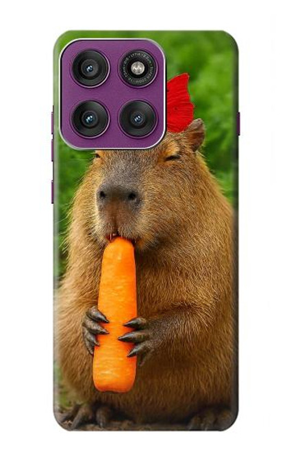 S4068 Capybara Butterfly Case For Motorola Edge 60 Pro