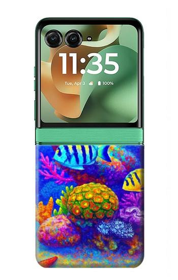 S4058 Colorful Aquarium Case For Motorola Razr 70+,60+, Razr+ (2026, 2025, 2024)