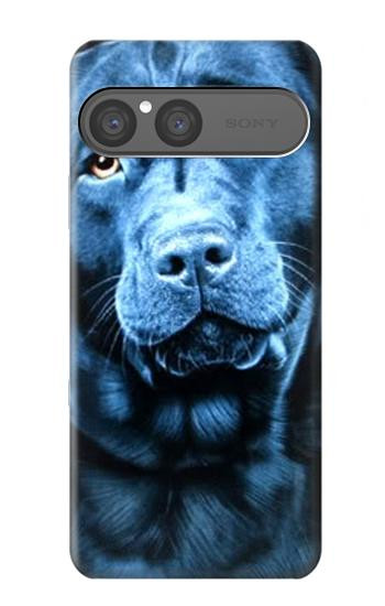 S0750 Labrador Retriever Case For Sony Xperia 10 VII