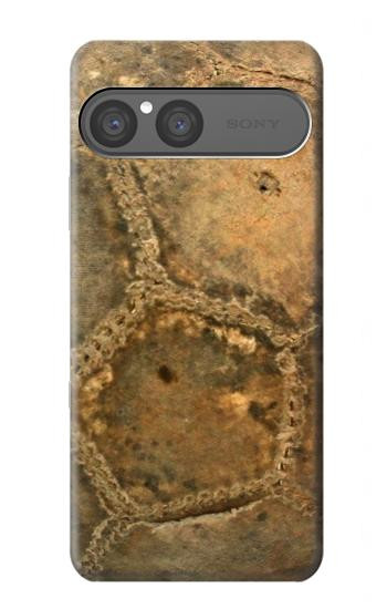 S2531 Old Soccer Ball Case For Sony Xperia 10 VII, 10 VIII