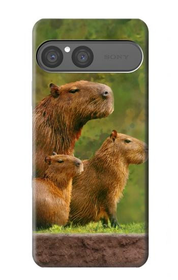 S3917 Capybara Family Giant Guinea Pig Case For Sony Xperia 10 VII, 10 VIII