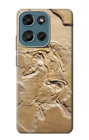S0380 Dinosaur Fossil Case For Motorola Moto G (2026), G Play (2026)