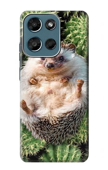 S3863 Pygmy Hedgehog Dwarf Hedgehog Paint Case For Motorola Moto G (2026), G Play (2026)