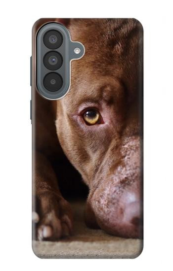S0519 PitBull Face Case For Samsung Galaxy A37