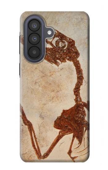 S0379 Dinosaur Fossil Case For Samsung Galaxy A57