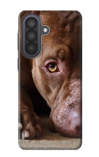 S0519 PitBull Face Case For Samsung Galaxy A57