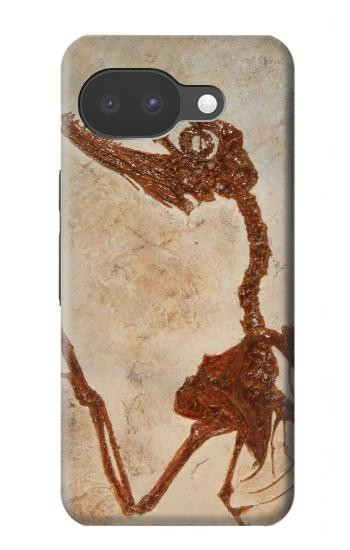 S0379 Dinosaur Fossil Case For Google Pixel 10a