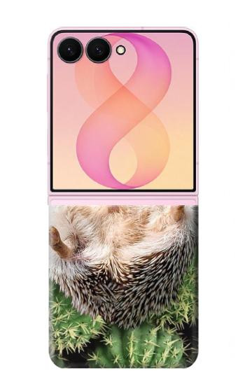 S3863 Pygmy Hedgehog Dwarf Hedgehog Paint Case For Samsung Galaxy Z Flip 8