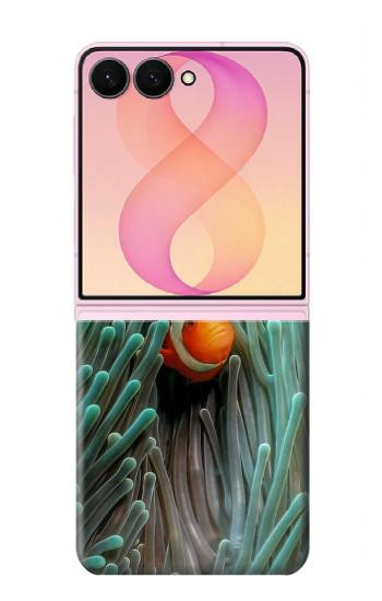 S3893 Ocellaris clownfish Case For Samsung Galaxy Z Flip 8