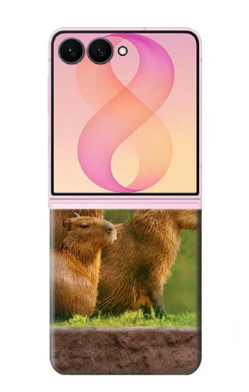 S3917 Capybara Family Giant Guinea Pig Case For Samsung Galaxy Z Flip 8