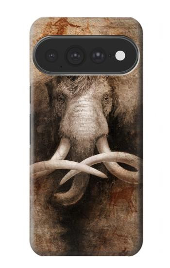 S3427 Mammoth Ancient Cave Art Case For Google Pixel 11 Pro XL
