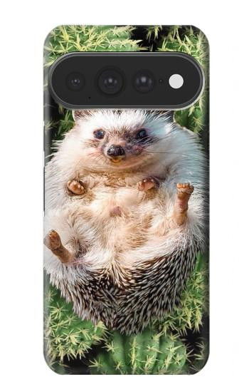 S3863 Pygmy Hedgehog Dwarf Hedgehog Paint Case For Google Pixel 11 Pro XL