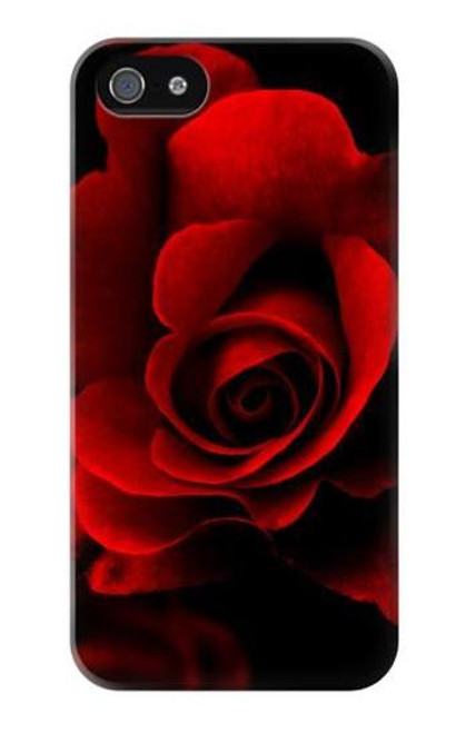 S2898 Red Rose Case For iPhone 5 5S SE