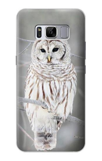 S1566 Snowy Owl White Owl Case For Samsung Galaxy S8 Plus