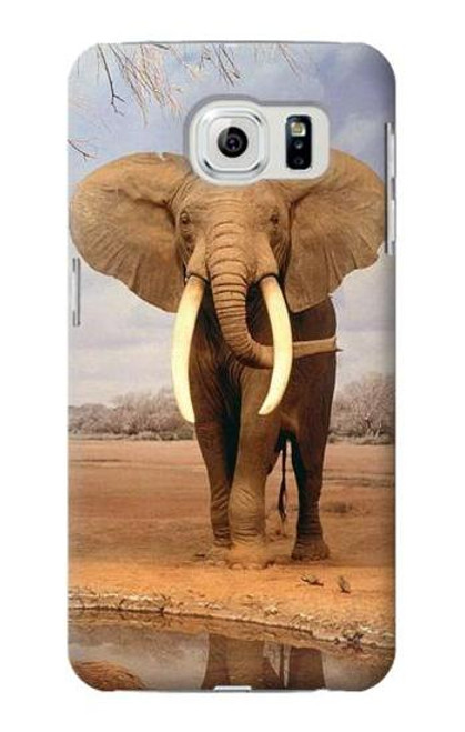 S0310 African Elephant Case For Samsung Galaxy S6