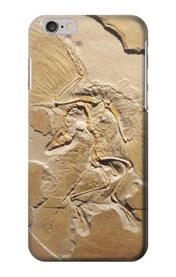 S0380 Dinosaur Fossil Case For iPhone 6 6S