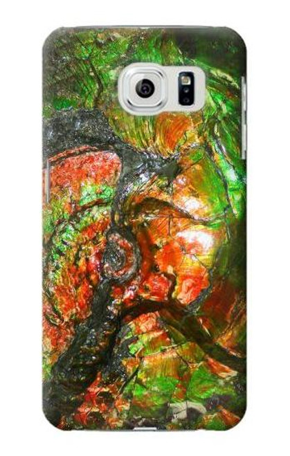 S2694 Ammonite Fossil Case For Samsung Galaxy S6