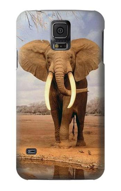 S0310 African Elephant Case For Samsung Galaxy S5