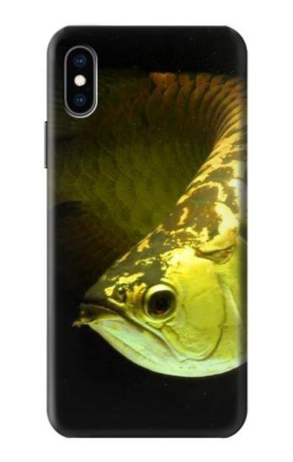 S1021 Gold Arowana Fish Case For iPhone X, iPhone XS