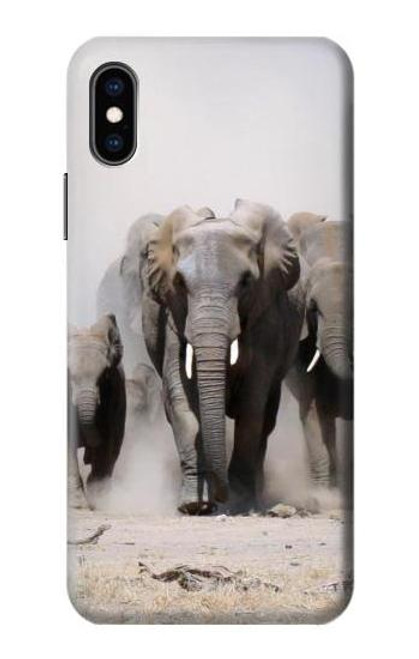 S3142 African Elephant Case For iPhone X, iPhone XS