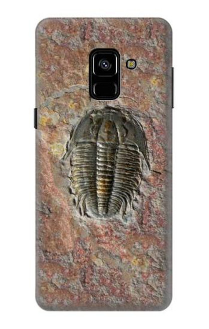 S1454 Trilobite Fossil Case For Samsung Galaxy A8 (2018)