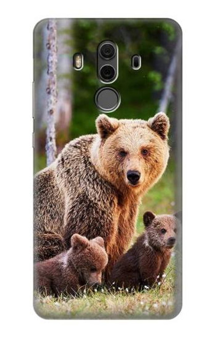 S3558 Bear Family Case For Huawei Mate 10 Pro, Porsche Design