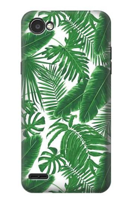 S3457 Paper Palm Monstera Case For LG Q6