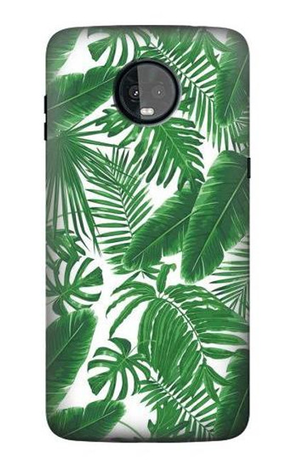 S3457 Paper Palm Monstera Case For Motorola Moto Z3, Z3 Play