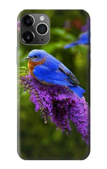S1565 Bluebird of Happiness Blue Bird Case For iPhone 11 Pro Max