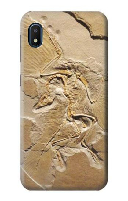 S0380 Dinosaur Fossil Case For Samsung Galaxy A10e