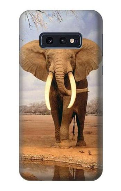 S0310 African Elephant Case For Samsung Galaxy S10e