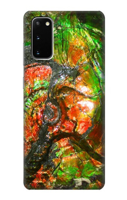 S2694 Ammonite Fossil Case For Samsung Galaxy S20