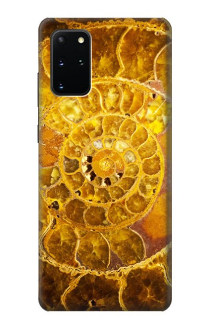 S1789 Ammonite Fossils Case For Samsung Galaxy S20 Plus, Galaxy S20+