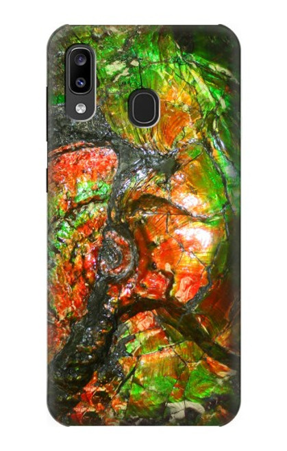 S2694 Ammonite Fossil Case For Samsung Galaxy A20, Galaxy A30