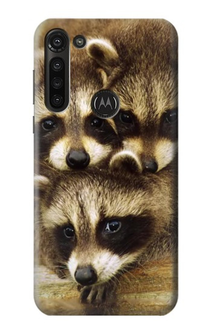 S0977 Baby Raccoons Case For Motorola Moto G8 Power