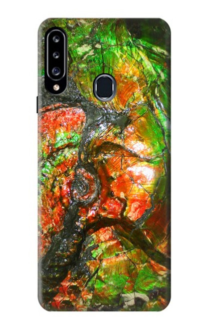 S2694 Ammonite Fossil Case For Samsung Galaxy A20s