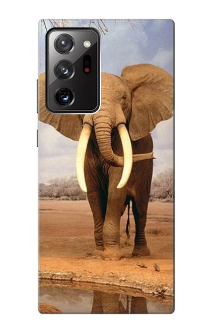S0310 African Elephant Case For Samsung Galaxy Note 20 Ultra, Ultra 5G