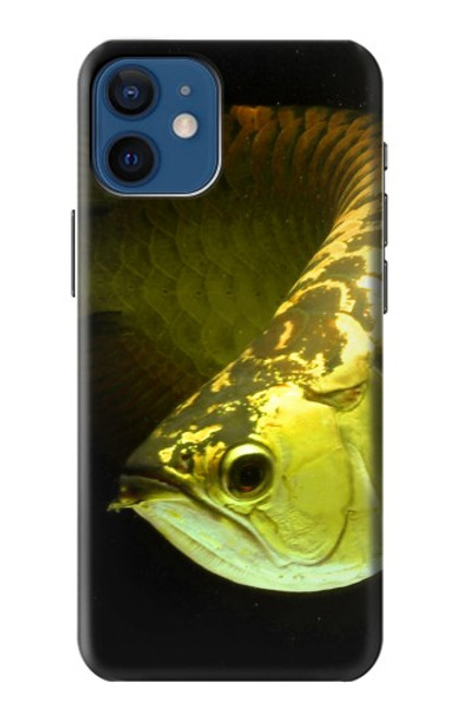 S1021 Gold Arowana Fish Case For iPhone 12 mini